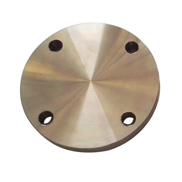 DN20 Solid Blind Flange 